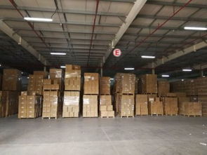 深圳保税仓储配送中心 赋能现代物流，驱动湾区经济新引擎